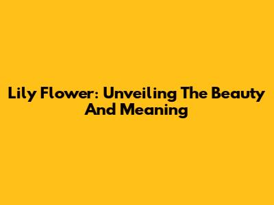 Lily Flower: Unveiling The Beauty And Meaning