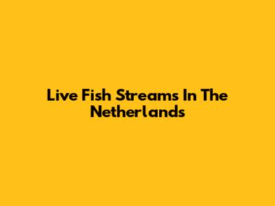 Live Fish Streams In The Netherlands