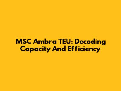 MSC Ambra TEU: Decoding Capacity And Efficiency