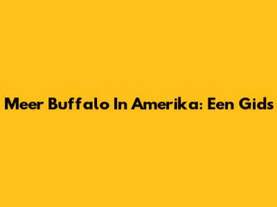Meer Buffalo In Amerika: Een Gids