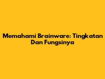 Memahami Brainware: Tingkatan Dan Fungsinya