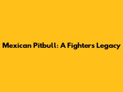 Mexican Pitbull: A Fighter's Legacy