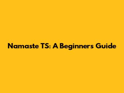 Namaste TS: A Beginner's Guide