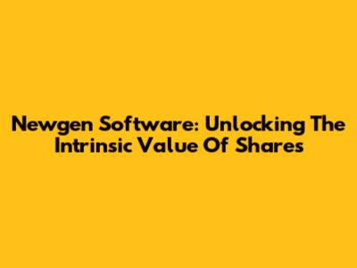 Newgen Software: Unlocking The Intrinsic Value Of Shares