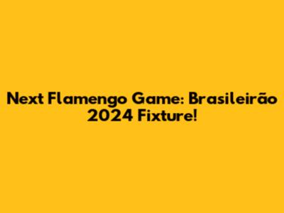 Next Flamengo Game: Brasileirão 2024 Fixture!