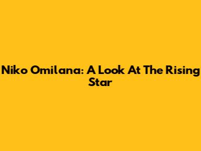 Niko Omilana: A Look At The Rising Star