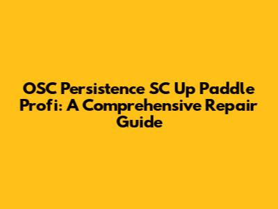 OSC Persistence SC Up Paddle Profi: A Comprehensive Repair Guide