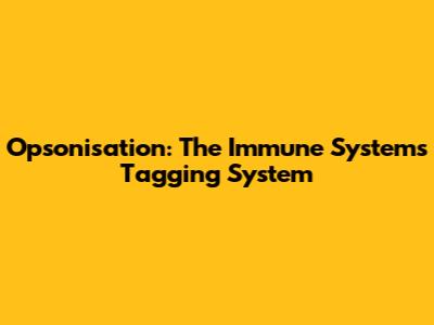Opsonisation: The Immune System's Tagging System