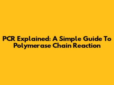 PCR Explained: A Simple Guide To Polymerase Chain Reaction