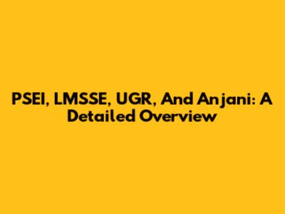 PSEI, LMSSE, UGR, And Anjani: A Detailed Overview