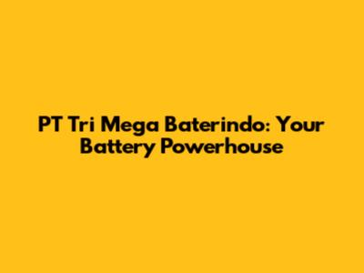 PT Tri Mega Baterindo: Your Battery Powerhouse