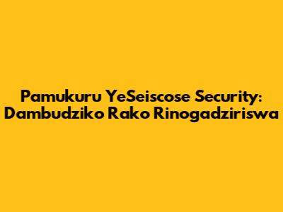 Pamukuru YeSeiscose Security: Dambudziko Rako Rinogadziriswa