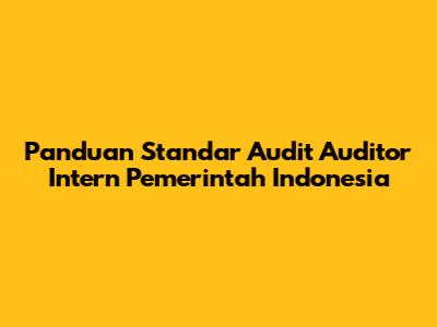 Panduan Standar Audit Auditor Intern Pemerintah Indonesia