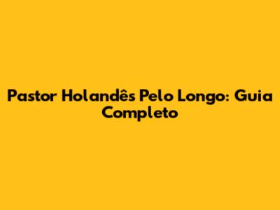 Pastor Holandês Pelo Longo: Guia Completo