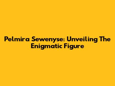 Pelmira Sewenyse: Unveiling The Enigmatic Figure