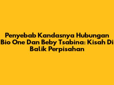Penyebab Kandasnya Hubungan Bio One Dan Beby Tsabina: Kisah Di Balik Perpisahan