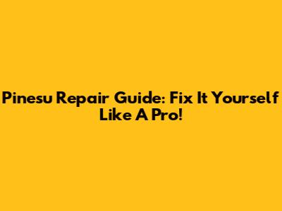 Pinesu Repair Guide: Fix It Yourself Like A Pro!