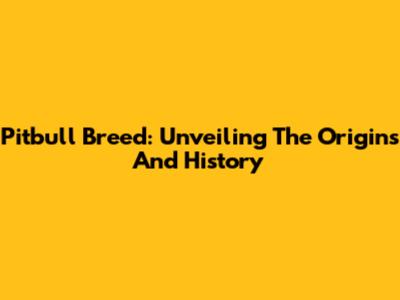 Pitbull Breed: Unveiling The Origins And History