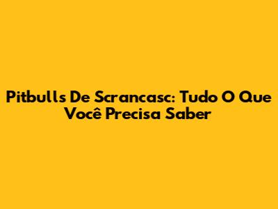 Pitbulls De Scrancasc: Tudo O Que Você Precisa Saber