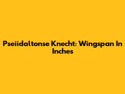Pseiidaltonse Knecht: Wingspan In Inches