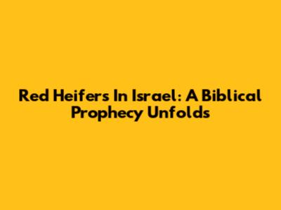 Red Heifers In Israel: A Biblical Prophecy Unfolds