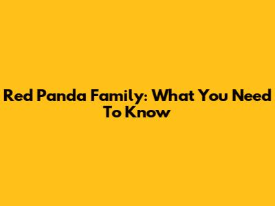 Red Panda Family: What You Need To Know