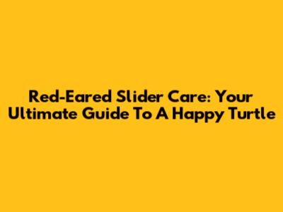 Red-Eared Slider Care: Your Ultimate Guide To A Happy Turtle