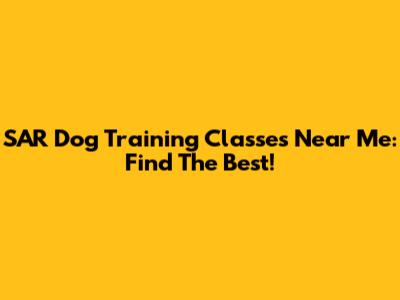 SAR Dog Training Classes Near Me: Find The Best!