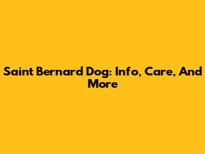 Saint Bernard Dog: Info, Care, And More