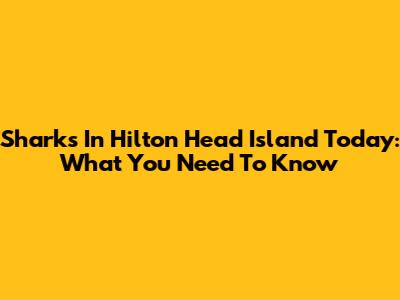 Sharks In Hilton Head Island Today: What You Need To Know