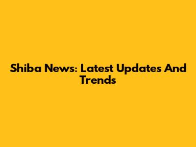 Shiba News: Latest Updates And Trends