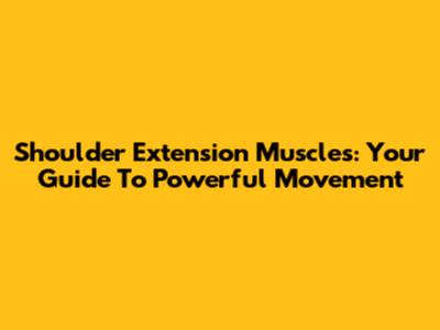 Shoulder Extension Muscles: Your Guide To Powerful Movement