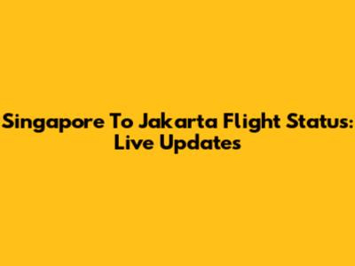 Singapore To Jakarta Flight Status: Live Updates