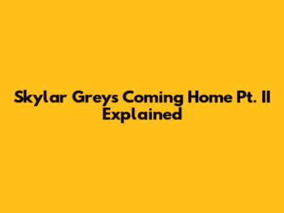 Skylar Grey's "Coming Home Pt. II" Explained