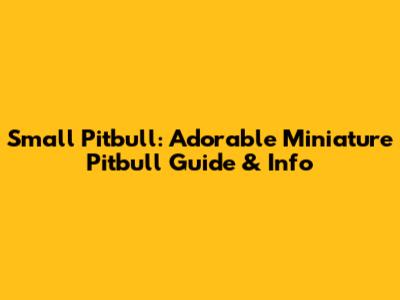 Small Pitbull: Adorable Miniature Pitbull Guide & Info