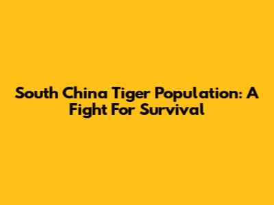 South China Tiger Population: A Fight For Survival