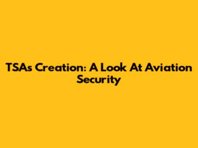 TSA's Creation: A Look At Aviation Security