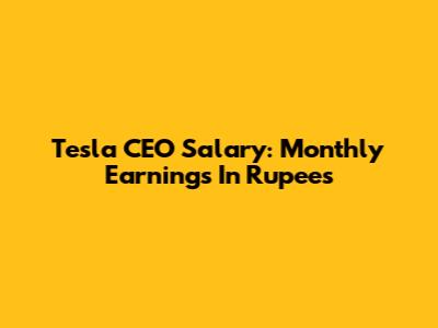 Tesla CEO Salary: Monthly Earnings In Rupees