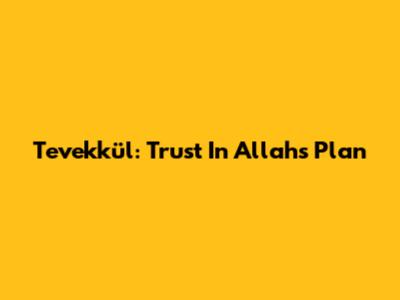 Tevekkül: Trust In Allah's Plan
