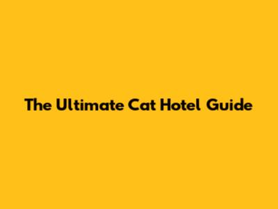 The Ultimate Cat Hotel Guide