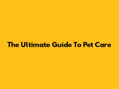 The Ultimate Guide To Pet Care