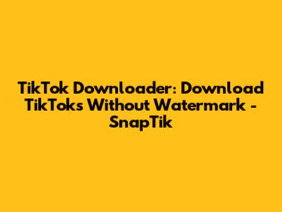 TikTok Downloader: Download TikToks Without Watermark - SnapTik