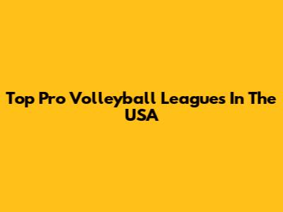 Top Pro Volleyball Leagues In The USA