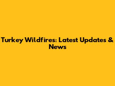 Turkey Wildfires: Latest Updates & News