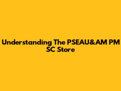 Understanding The PSEAU&AM PM SC Store