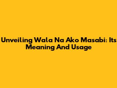Unveiling 'Wala Na Ako Masabi': Its Meaning And Usage