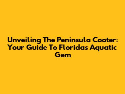 Unveiling The Peninsula Cooter: Your Guide To Florida's Aquatic Gem