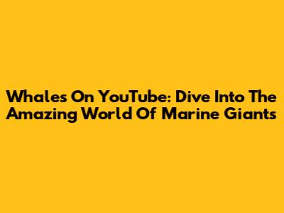 Whales On YouTube: Dive Into The Amazing World Of Marine Giants