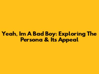 Yeah, I'm A Bad Boy: Exploring The Persona & Its Appeal